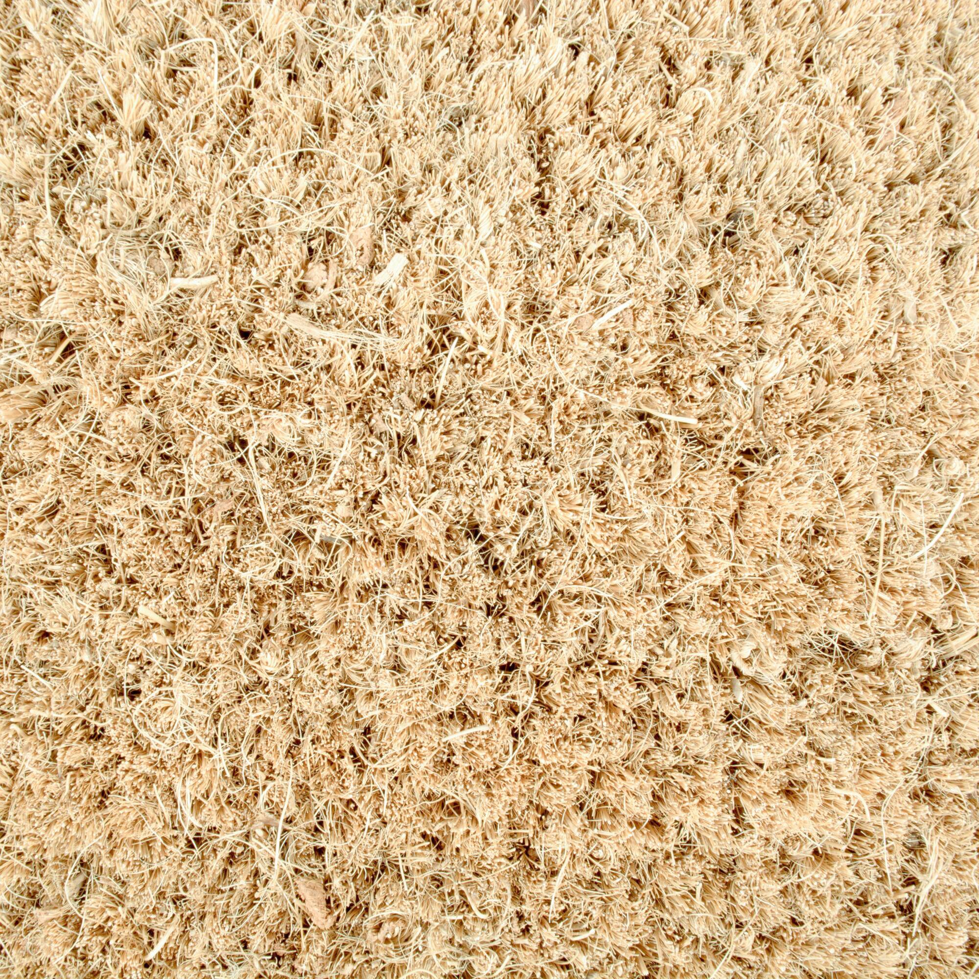 DII® Gothic Boo Doormat